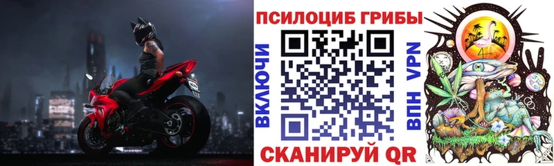 Галлюциногенные грибы мицелий Каменск-Шахтинский