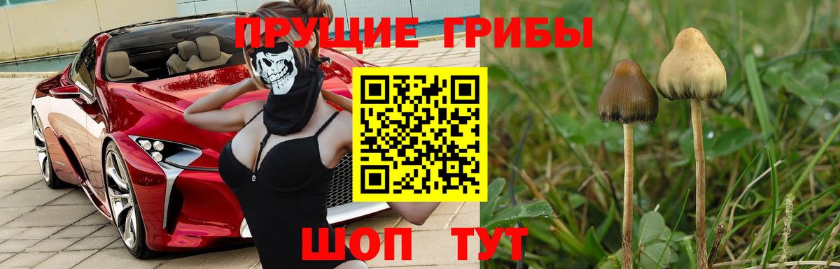 Каменск-Шахтинский  Галлюциногенные грибы мухоморы  Вход с VPN 