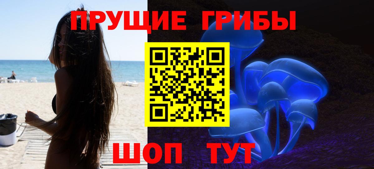 Псилоцибиновые грибы Cubensis Каменск-Шахтинский